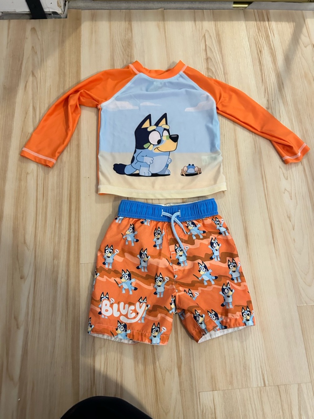 Bluey toddler boys 2T swim trunks & radhguard
